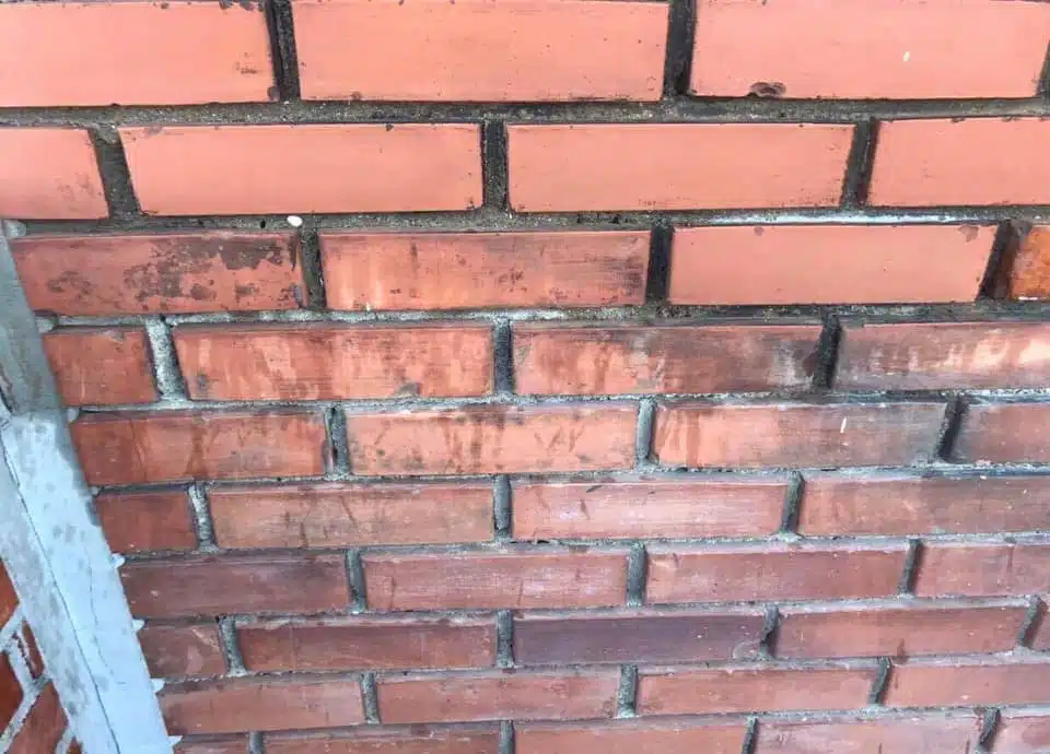 RBI Greenlin1 - Bilde 4